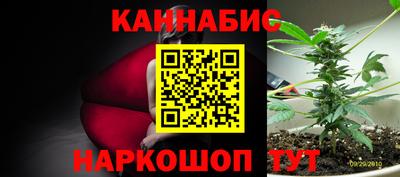 гидропоника Канаш