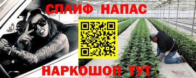 бошки Камышлов