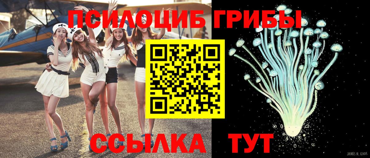 Псилоцибиновые грибы Psilocybe Кудымкар