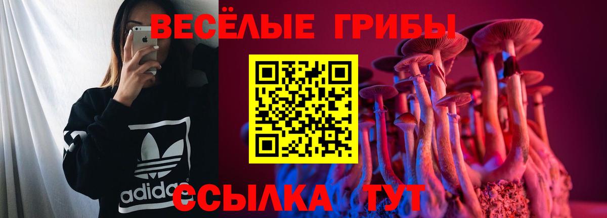 Псилоцибиновые грибы мухоморы  где купить наркоту  Псилоцибиновые грибы мицелий  Кудымкар  Вход с VPN 